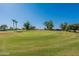 Golf course putting green with palm trees at 4622 E Flower Ave, Mesa, AZ 85206
