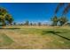 Green golf course with trees and blue sky at 4622 E Flower Ave, Mesa, AZ 85206