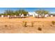 Landscaped lot with modern home and mature trees at 23008 E Galveston St, Mesa, AZ 85212