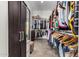 Walk-in closet with ample hanging space and shelving at 23008 E Galveston St, Mesa, AZ 85212