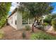 Landscaped backyard with gravel, plants, and partial view of home at 578 E Laddoos Ave, San Tan Valley, AZ 85140