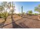 Gravel driveway with desert landscape at 31527 N 174Th St, Rio Verde, AZ 85263