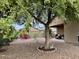 Landscaped backyard with patio and mature trees at 148 S 225Th Ln, Buckeye, AZ 85326
