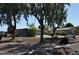 Houses with a tree-lined street and park bench at 8500 E Southern Ave # 586, Mesa, AZ 85209