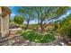 Expansive backyard with mature trees, lush lawn, and stone pathways at 6979 E Mighty Saguaro Way, Scottsdale, AZ 85266