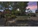 Landscaped backyard with grassy area, gravel pathways, and mature trees at 16449 W Shangri La Rd, Surprise, AZ 85388