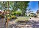 Landscaped backyard with grassy area, gravel pathways, and mature trees at 16449 W Shangri La Rd, Surprise, AZ 85388