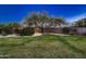 Landscaped backyard with a grassy area and a bench under a large tree at 26615 N 71St Pl, Scottsdale, AZ 85266