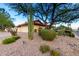 House with a large tree, desert landscaping, and a two-car garage at 16205 N Zane Grey Ln Ln, Fountain Hills, AZ 85268