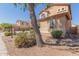 Landscaped yard with mature trees and rock accents at 40752 W Robbins Dr, Maricopa, AZ 85138