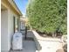 Landscaped backyard with grill and wall at 12956 W El Sueno Ct, Sun City West, AZ 85375