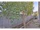 Backyard with trees and garden area next to wall at 30346 W Columbus Ave, Buckeye, AZ 85396