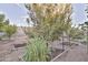 Landscaped backyard with raised garden beds and fruit trees at 30346 W Columbus Ave, Buckeye, AZ 85396