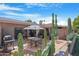 Backyard patio with dining set, grill, and cactus plants at 10224 E Michigan Ave, Sun Lakes, AZ 85248