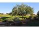 View of a green golf course from behind a fence at 22455 N 55Th St, Phoenix, AZ 85054