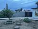 Landscaped backyard with a small tree and stone pathway at 2814 N 55Th Ave, Phoenix, AZ 85035