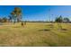 Large grassy park area with mature trees and distant mountains at 1701 W Highland Ave, Phoenix, AZ 85015