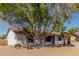 Ranch style home with mature trees and a large yard at 17226 N 29Th Dr, Phoenix, AZ 85053