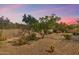 Desert landscape with gravel and native plants at 15120 E Vermillion Dr, Fountain Hills, AZ 85268
