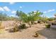 Desert landscape with gravel and native plants at 15120 E Vermillion Dr, Fountain Hills, AZ 85268