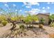 Landscaped front yard with desert plants and gravel at 15120 E Vermillion Dr, Fountain Hills, AZ 85268