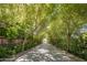 Long driveway leading to the house, lined with lush trees at 6644 E Exeter Blvd, Scottsdale, AZ 85251