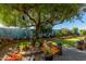 Mature tree provides shade in this well-maintained backyard with decorative elements at 19104 N Smith Dr, Maricopa, AZ 85139