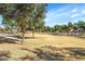 Spacious grassy park with mature trees, providing a relaxing community amenity at 21527 N 78Th Ln, Peoria, AZ 85382