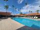 Inviting community pool with lounge chairs and palm trees at 650 N Hawes Rd # 4409, Mesa, AZ 85207