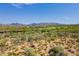 Aerial view of a luxury community with mountain views and desert landscaping at 10610 E Stoney Cir, Scottsdale, AZ 85262