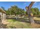 Large backyard with lush grass and mature trees at 13605 N Redwood Dr, Sun City, AZ 85351