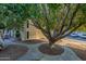 Building exterior with large tree and walkway at 3119 W Cochise Dr # 245, Phoenix, AZ 85051