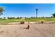 Gravel backyard with desert landscaping and golf course view at 10613 W Connecticut Ave, Sun City, AZ 85351