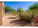 Landscaped backyard with desert landscaping and trees at 727 W Judi Dr, Casa Grande, AZ 85122