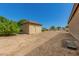 Storage shed and lush landscaping in the backyard at 2336 E Elk Bugle Trl, San Tan Valley, AZ 85140