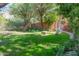 Landscaped lawn area with mature trees and a pathway leading to the pool at 15972 N 115Th Way, Scottsdale, AZ 85255