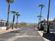 Residential street with palm trees and mountain view at 9427 E University Dr # 100, Mesa, AZ 85207