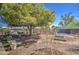 Large backyard with mature trees and garden space at 14609 N Montego Ct, Phoenix, AZ 85053