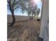 Gravel backyard with trees and a block wall at 11596 W Sierra Dawn Blvd # 28, Surprise, AZ 85378