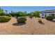Landscaped front yard with gravel and shrubs at 6620 E Stallion Rd, Paradise Valley, AZ 85253