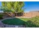 Landscaped backyard with artificial turf and trees at 1542 E Chaparral Pl, Casa Grande, AZ 85122