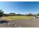 Large grassy area in a spacious backyard at 331 W Dundy St, San Tan Valley, AZ 85143