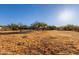 Expansive lot with desert landscape and views of the property at 1894 W Scissor Tail Pl, Queen Valley, AZ 85118