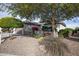 Landscaped front yard with mature trees and desert landscaping at 20447 N 266Th Ave, Buckeye, AZ 85396