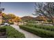 Landscaped backyard with mountain views and a pool at 10493 E Rimrock Dr, Scottsdale, AZ 85255