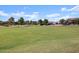 Spacious grassy park with basketball and soccer goals at 36874 W La Paz St, Maricopa, AZ 85138