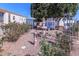 Beautiful community garden with a central fountain at 2460 E Main St # A17, Mesa, AZ 85213