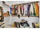 Large walk-in closet with ample hanging space and shelving at 24614 N 169Th Dr, Surprise, AZ 85387