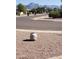 Quiet street view with mountain backdrop at 908 S Ocotillo Dr, Apache Junction, AZ 85120