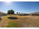 Large backyard with grassy area and mature tree at 10624 W Saratoga Cir, Sun City, AZ 85351